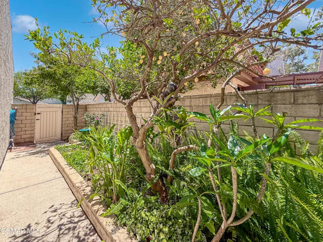 fBackyard and Garage6