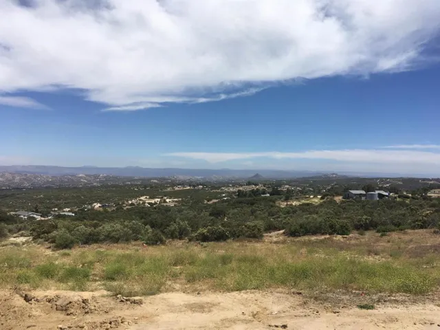 View in 2021