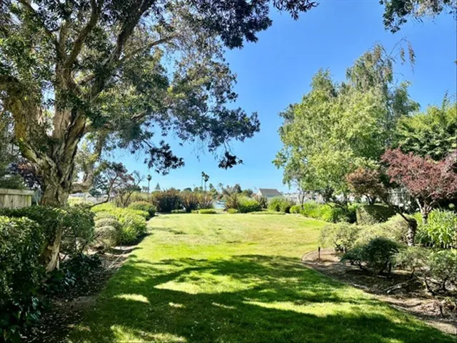 1026 Shoreline Drive, San Mateo, California 94404