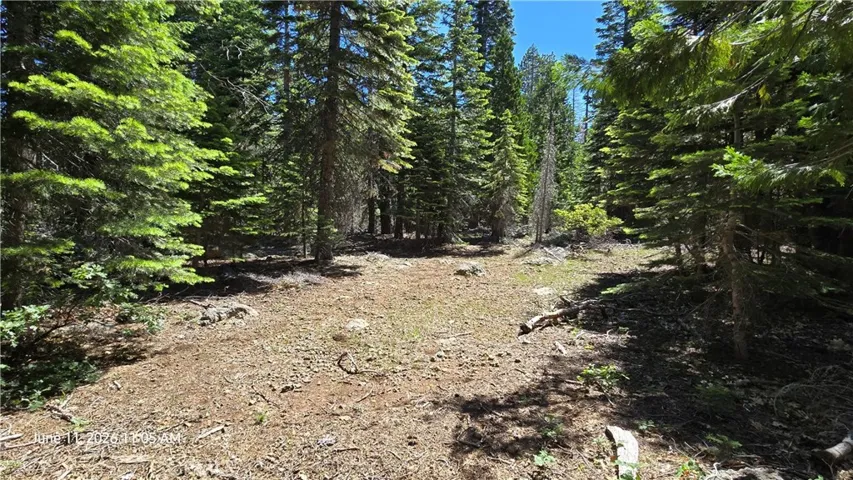 Old Road to Cabin 2
