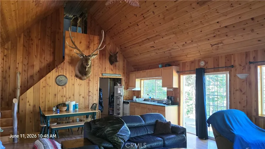 spacious main level in cabin
