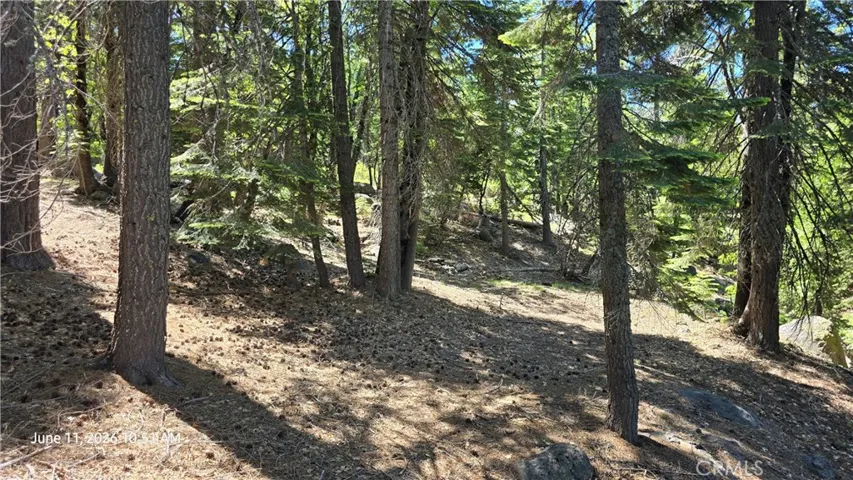 Side yard toward fire pit