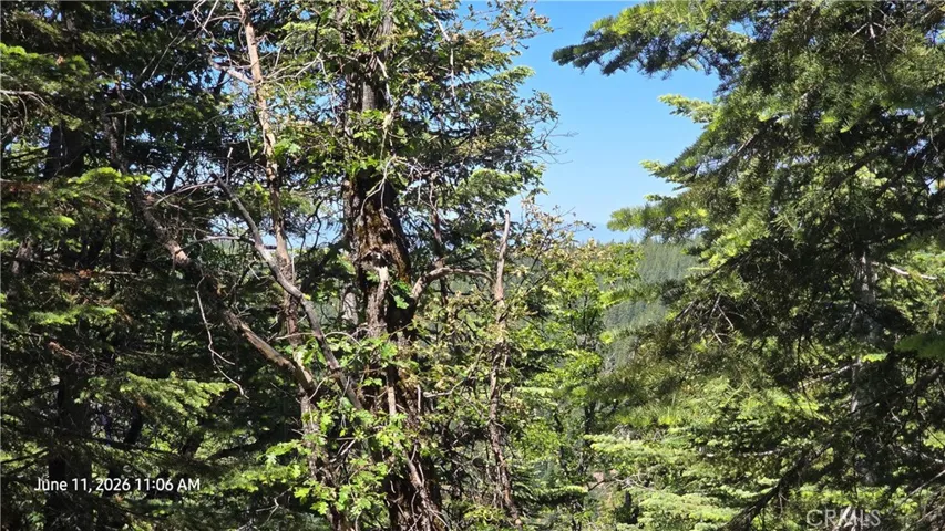 view from front of cabin 2

