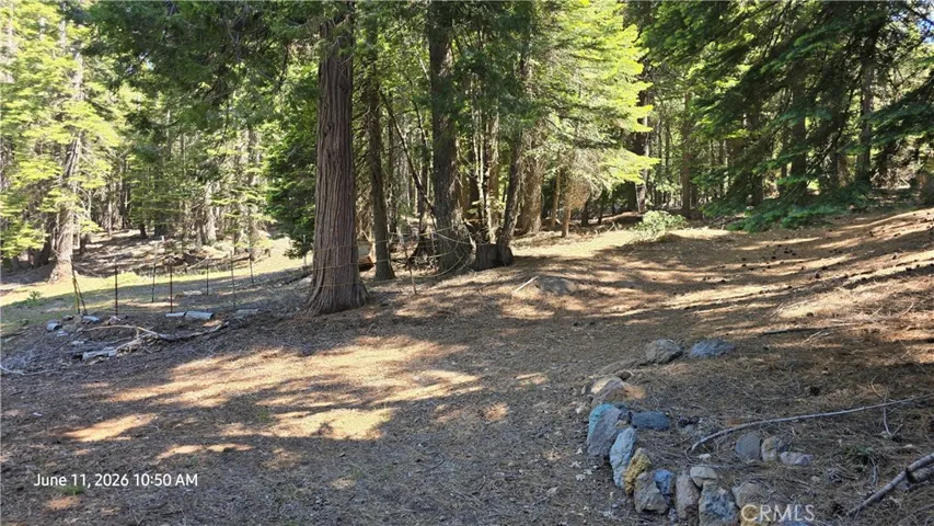 Driveway at main cabin