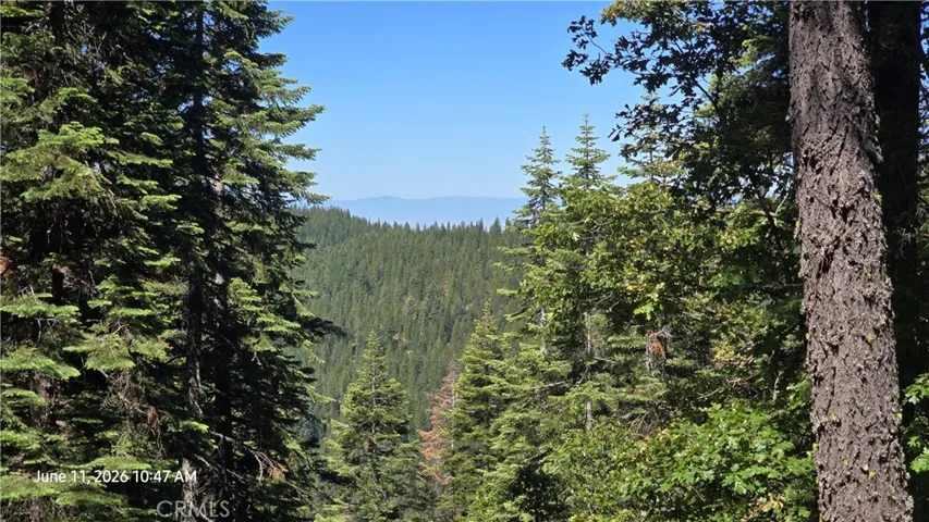 Looking West...