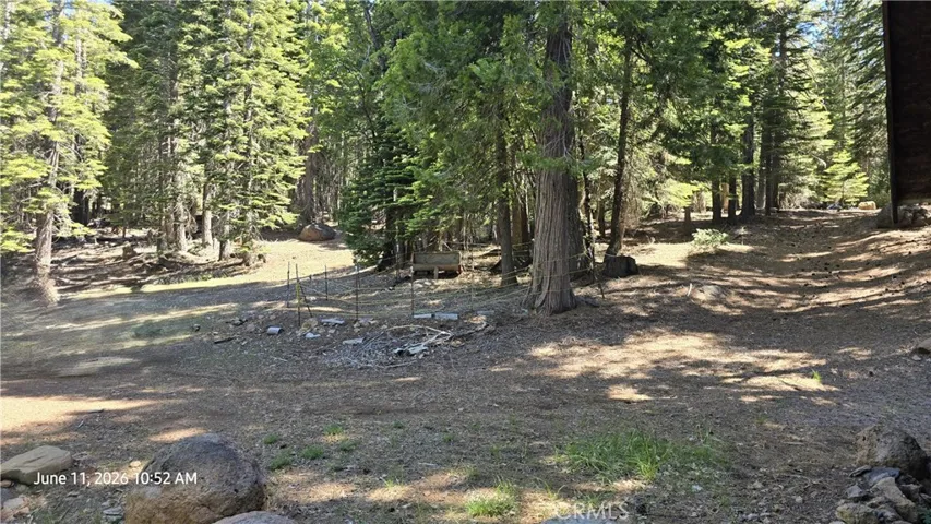 Driveway looking to horse pen