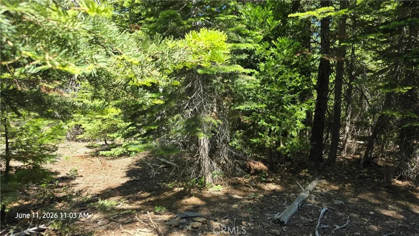 Trail to concrete pad
