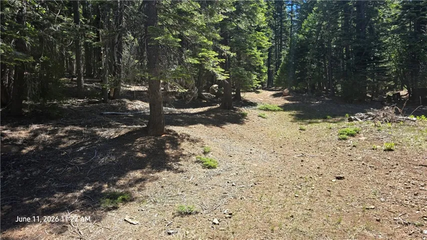 Main road to cabins