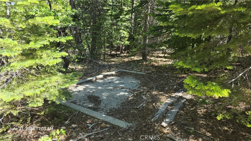 concrete pad between cabins 1 & 2
