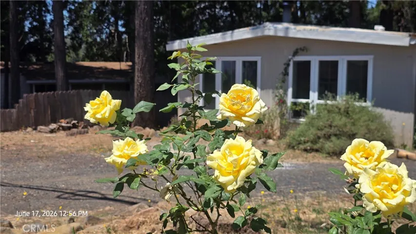 6485 Ponderosa, Magalia, California 95954
