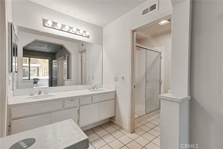 Primary Bathroom Area