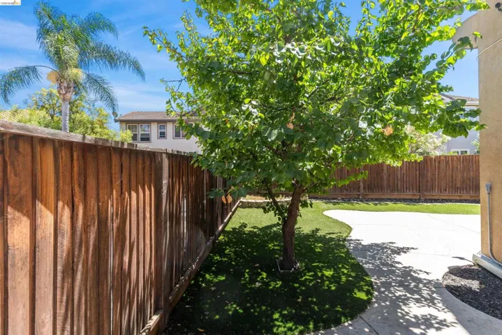 Expansive backyard featuring a mature tree, artificial turf, and a curving concrete patio