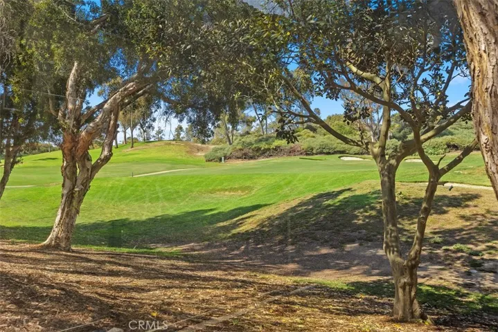 48 Paseo Verde, San Clemente, California 92673