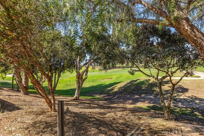 48 Paseo Verde, San Clemente, California 92673