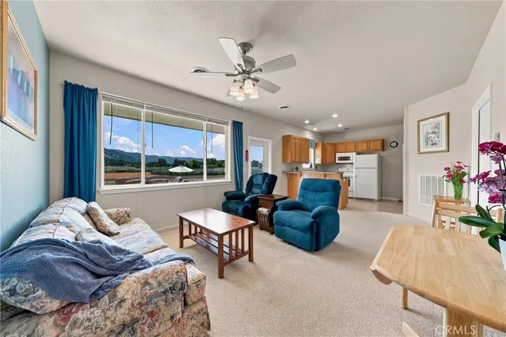 ADU Livingroom