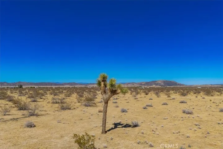 0 Little Road, Joshua Tree, California 92252