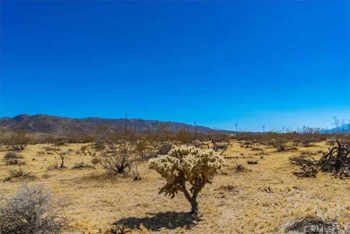 0 Little Road, Joshua Tree, California 92252