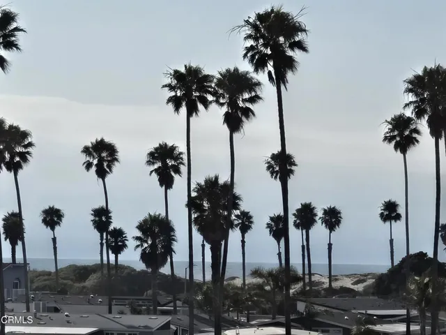 VIEW from Crows Nest and Balcony