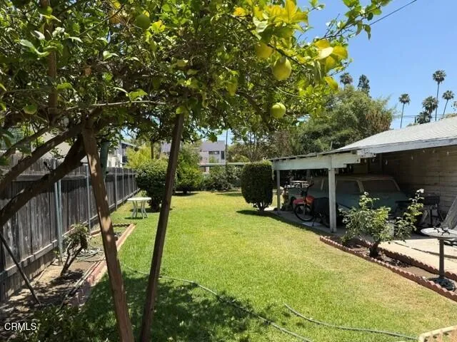 Photo2
