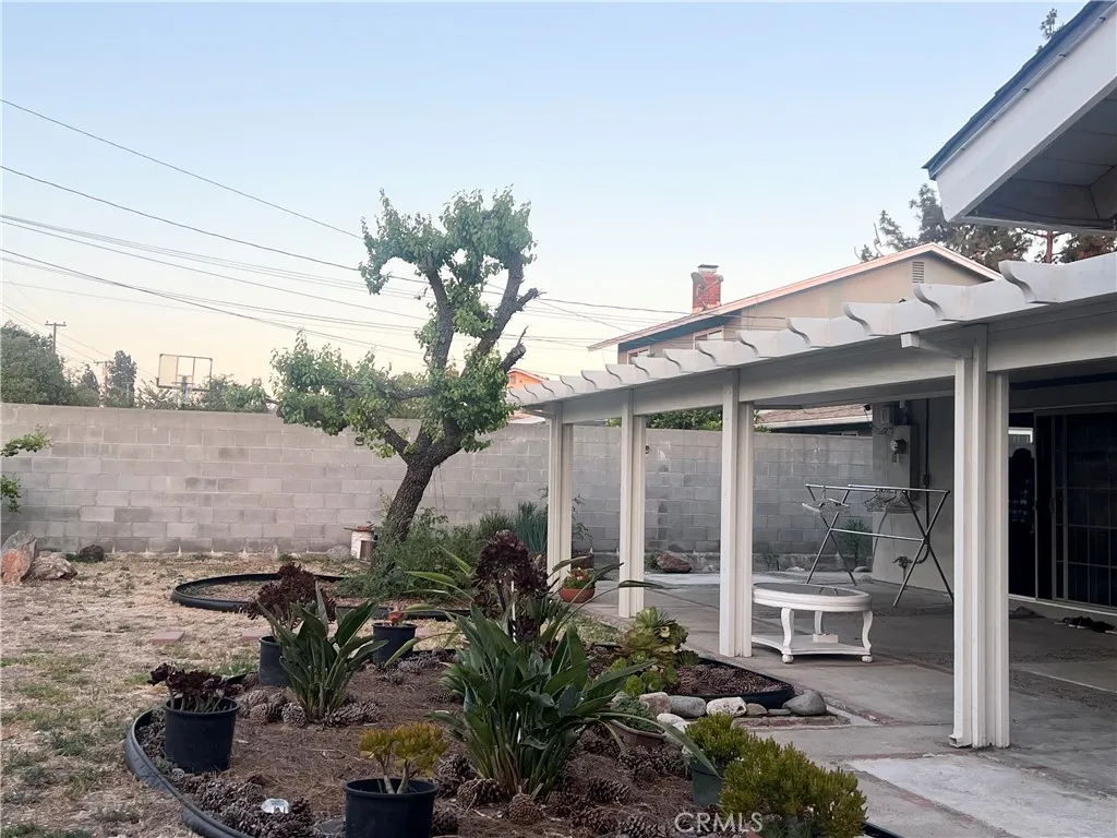 Backyard