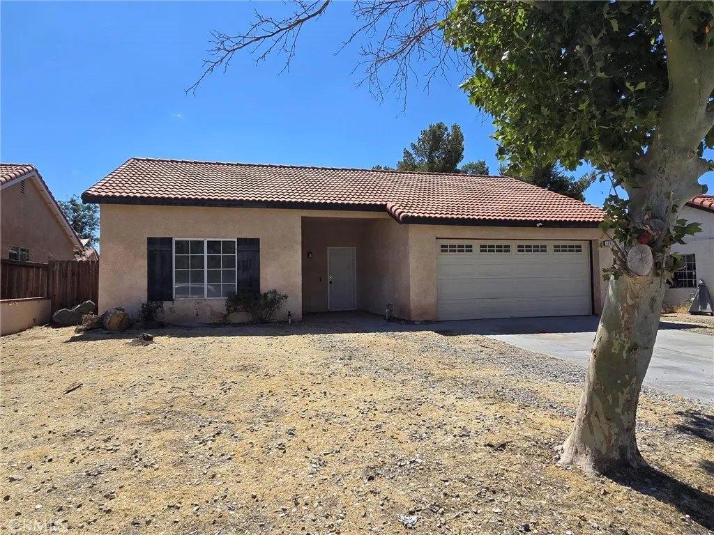 14572 Agave