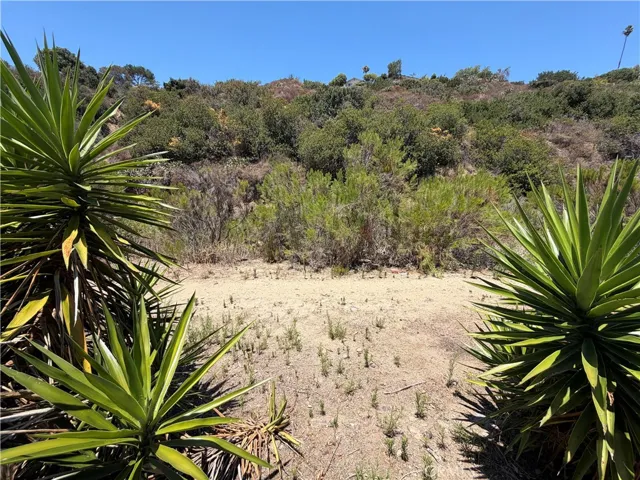 4916 Euclid Court, San Diego, California 92105