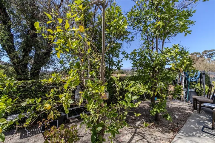 6415 E Stonebridge, Anaheim Hills, California 92807
