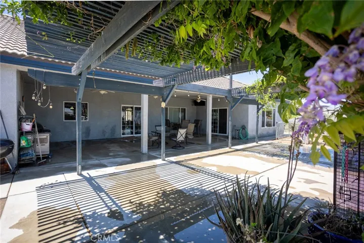 Vine covered Patio