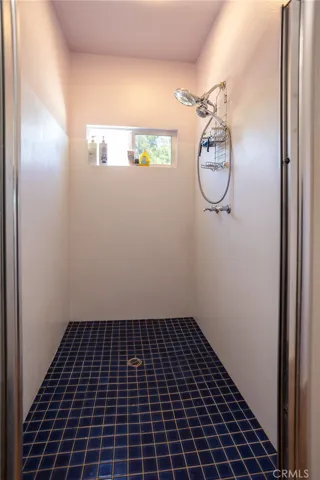 Master Bedroom Shower