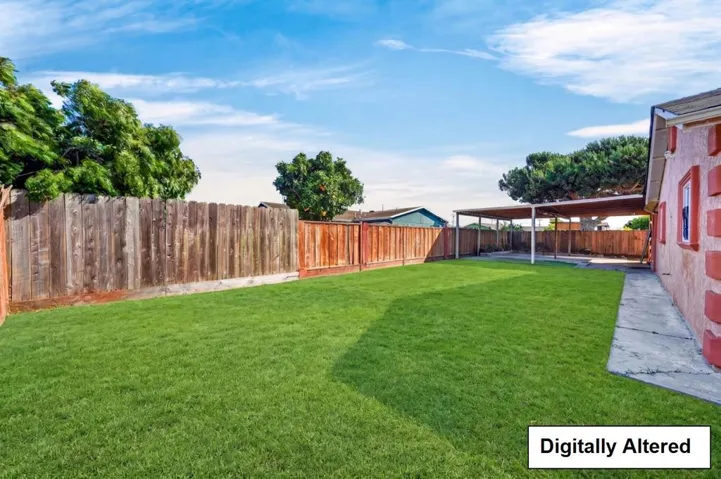 Backyard