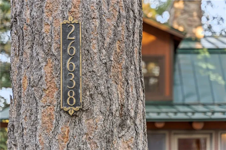 26638 Lake Forest, Twin Peaks, California 92391