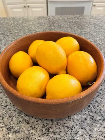 Beautiful large lemons from the Meyers lemon tree