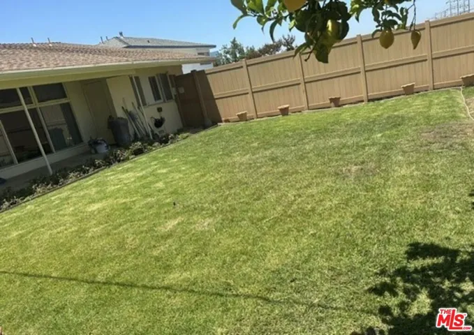 back yard