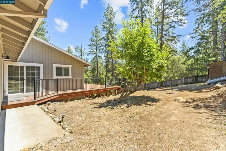 Side Yard