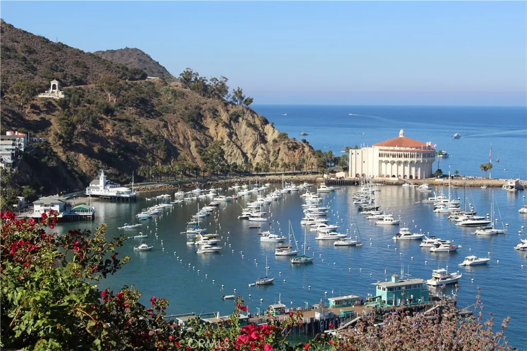 View from LOT