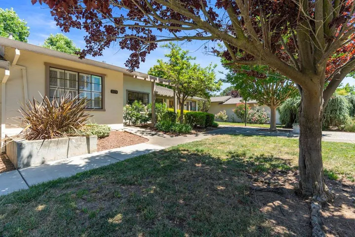 5173 Cribari, San Jose, California 95135