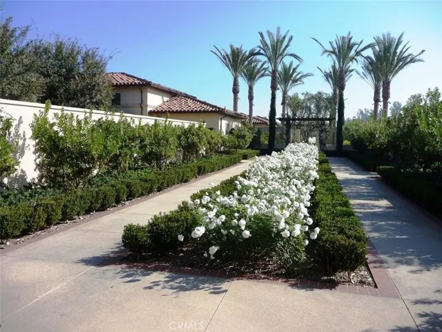 Relax and walk around the area.