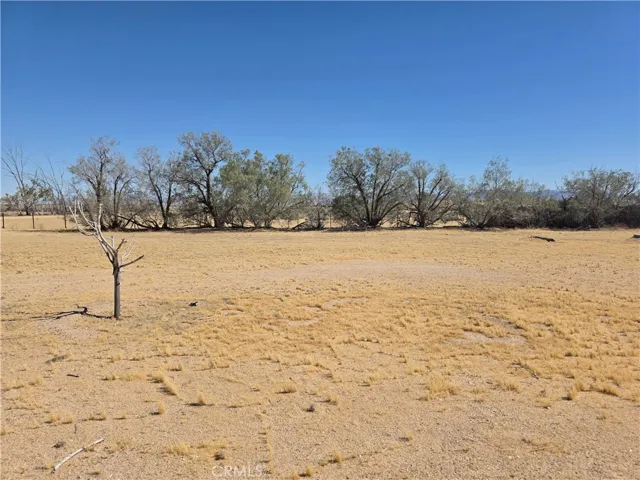 39070 Yucca, Newberry Springs, California 92398
