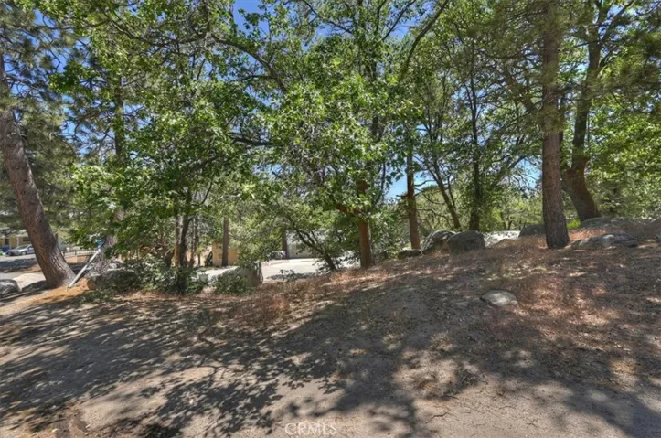 Large, treed corner lot