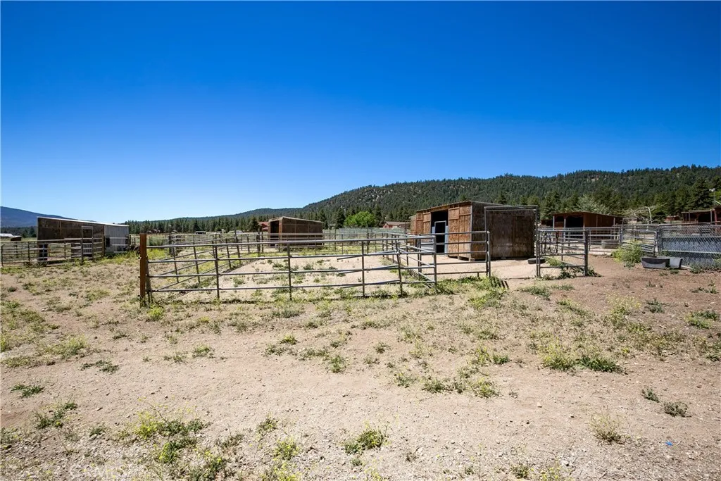 A broad ground-level perspective capturing the rustic charm of the ranch. This shot showcases a stretch of open natural terrain leading up to fenced horse shelters and pens, perfectly framed by mature trees and a clear blue sky.