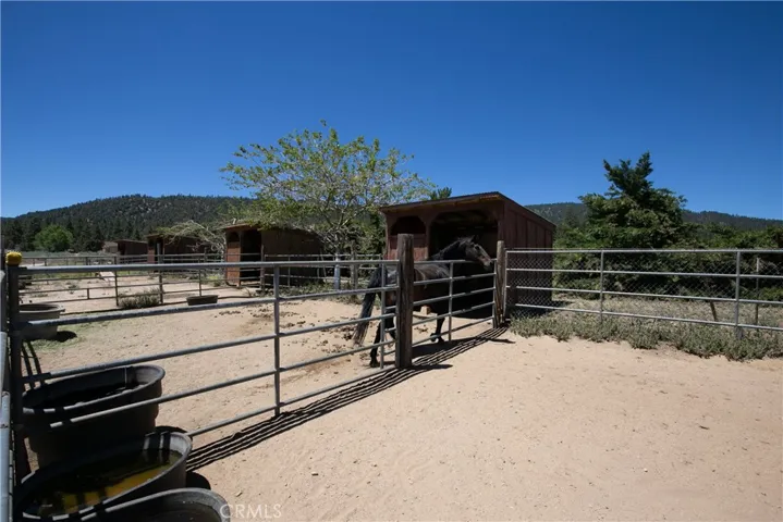 A functional ground-level perspective showcasing the sturdy pipe-fenced equestrian enclosures and shelters. This shot highlights the open turnout pens and shaded stalls, backed by mature trees and rolling hills.