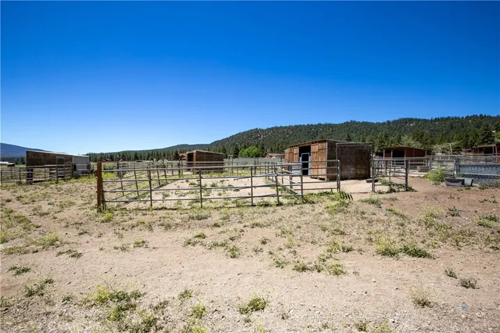 A broad ground-level perspective capturing the rustic charm of the ranch. This shot showcases a stretch of open natural terrain leading up to fenced horse shelters and pens, perfectly framed by mature trees and a clear blue sky.
