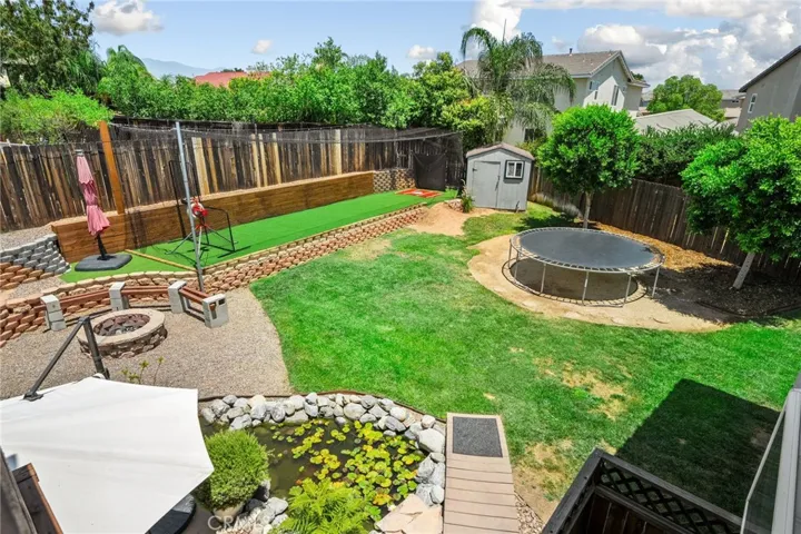 Stunning back yard