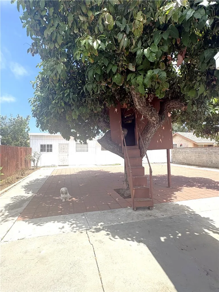 Kids tree house