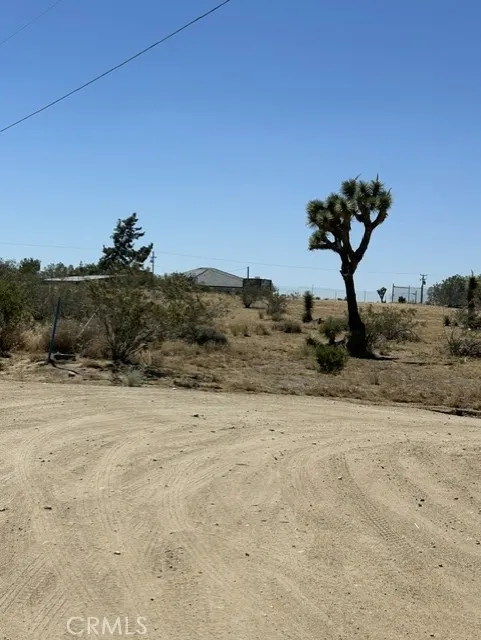 0 Olivine Road, Phelan, California 92371 — photo 5