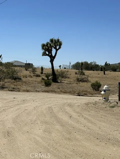 0 Olivine Road, Phelan, California 92371 — photo 4