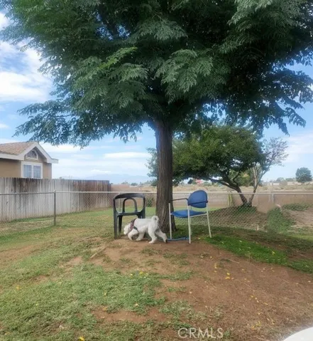 FENCED DOG PARK