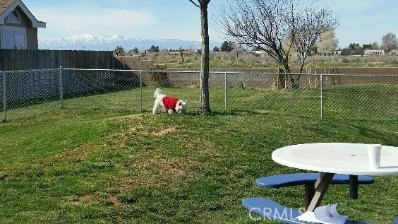 COMMUNITY OFF LEASH DOG PARK