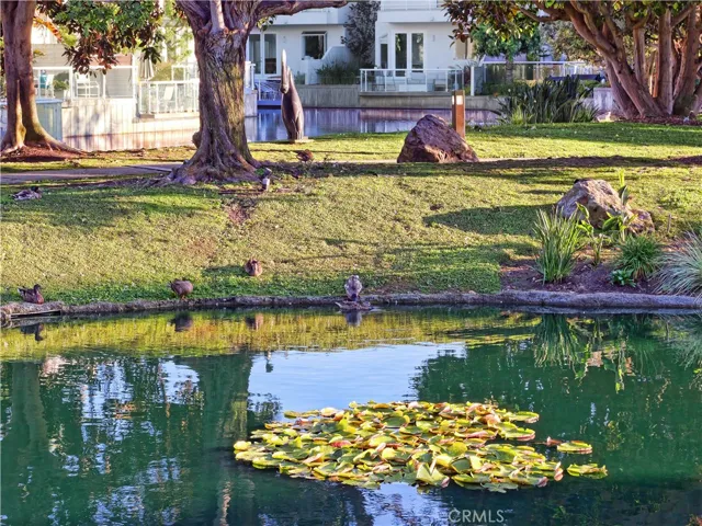 690 Harbor Street 4, Venice, California 90291