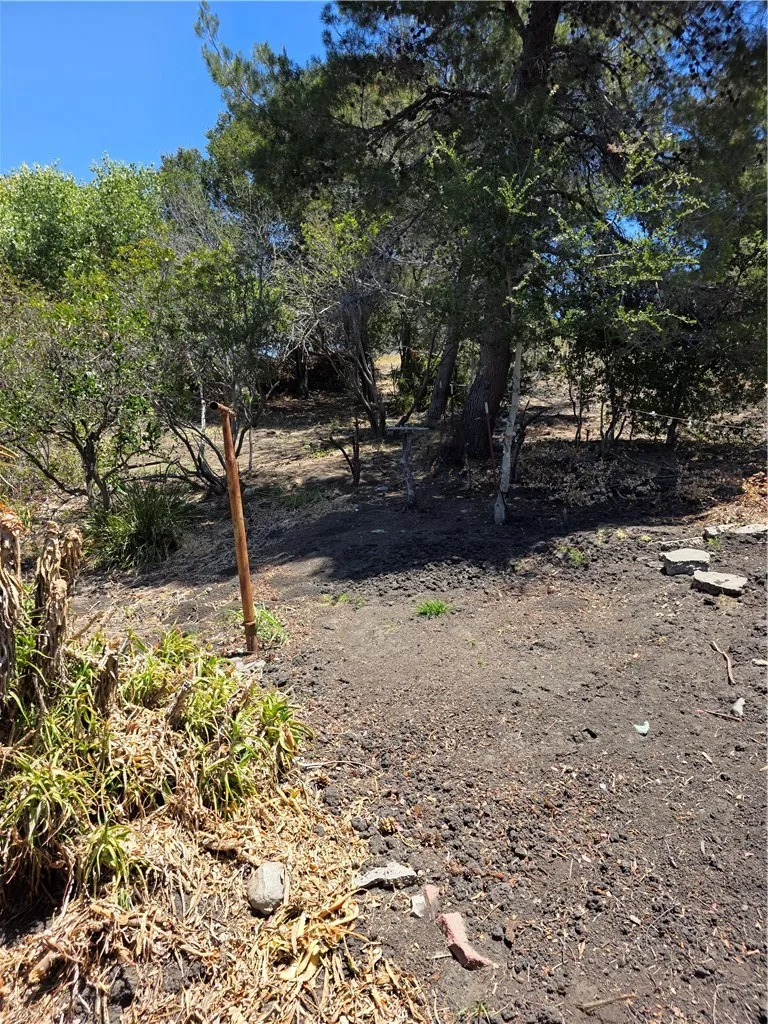 1411 1415 San Luis, San Luis Obispo, California 93401 — photo 4